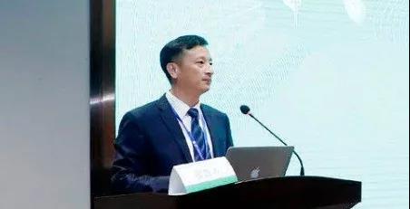 1577686558297522.jpg 2.jpg